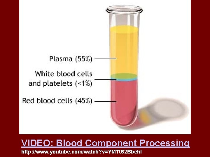 VIDEO: Blood Component Processing http: //www. youtube. com/watch? v=YMTt. S 2 Bbeh. I 