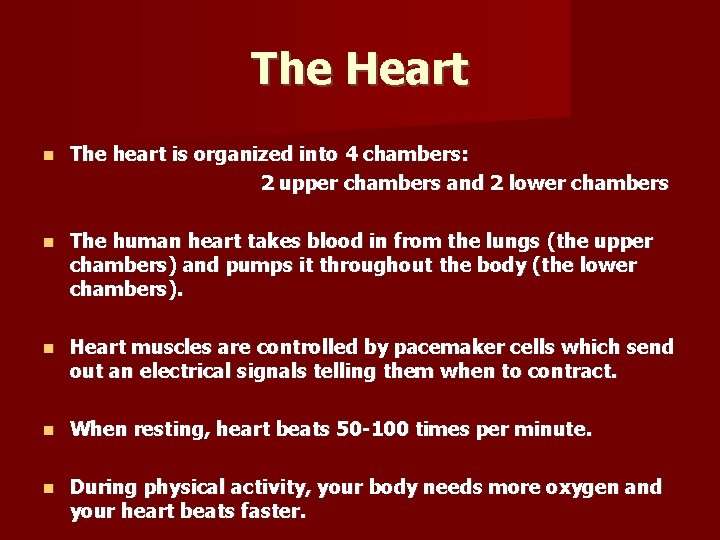 The Heart The heart is organized into 4 chambers: 2 upper chambers and 2