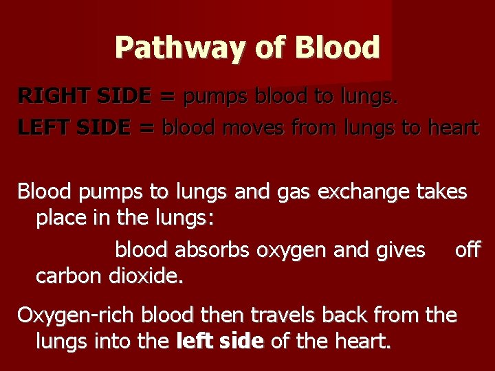 Pathway of Blood RIGHT SIDE = pumps blood to lungs. LEFT SIDE = blood