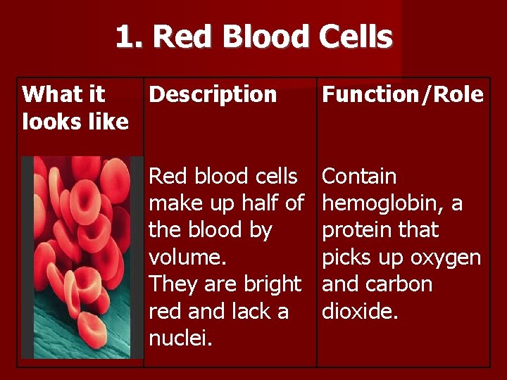 1. Red Blood Cells What it Description looks like Red blood cells make up