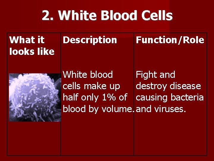 2. White Blood Cells What it Description looks like Function/Role White blood Fight and