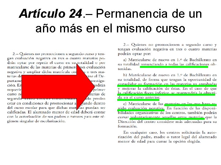 Artículo 24. – Permanencia de un año más en el mismo curso 