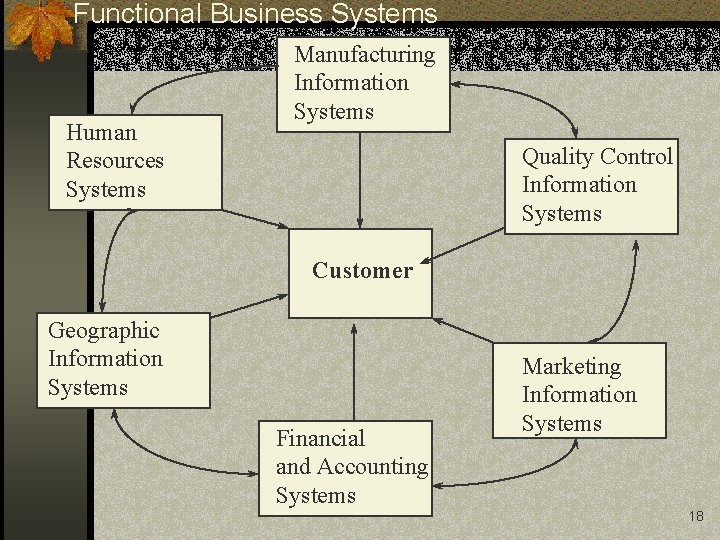 Functional Business Systems Human Resources Systems Manufacturing Information Systems Quality Control Information Systems Customer Functional Business Systems Human Resources Systems Manufacturing Information Systems Quality Control Information Systems Customer