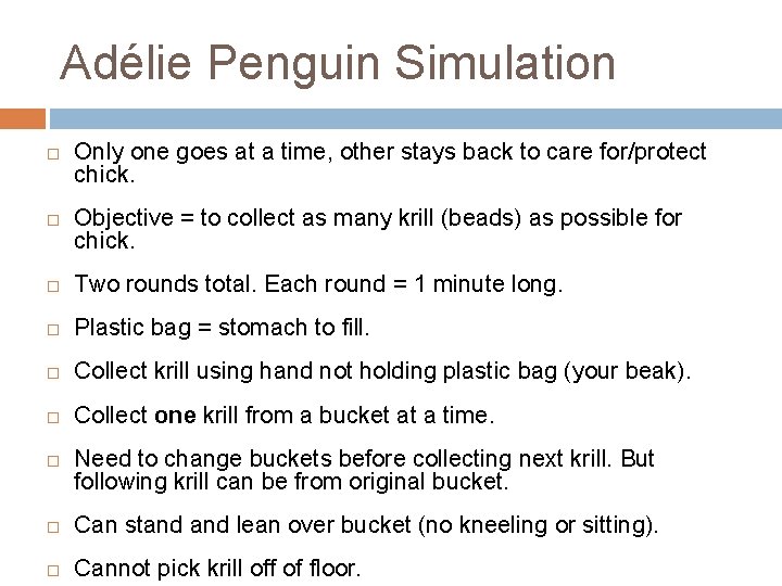 Adélie Penguin Simulation Only one goes at a time, other stays back to care