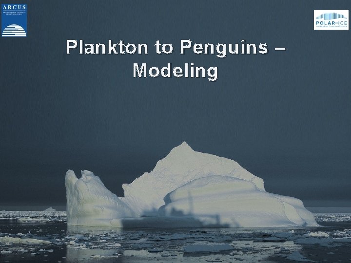 Plankton to Penguins – Modeling 