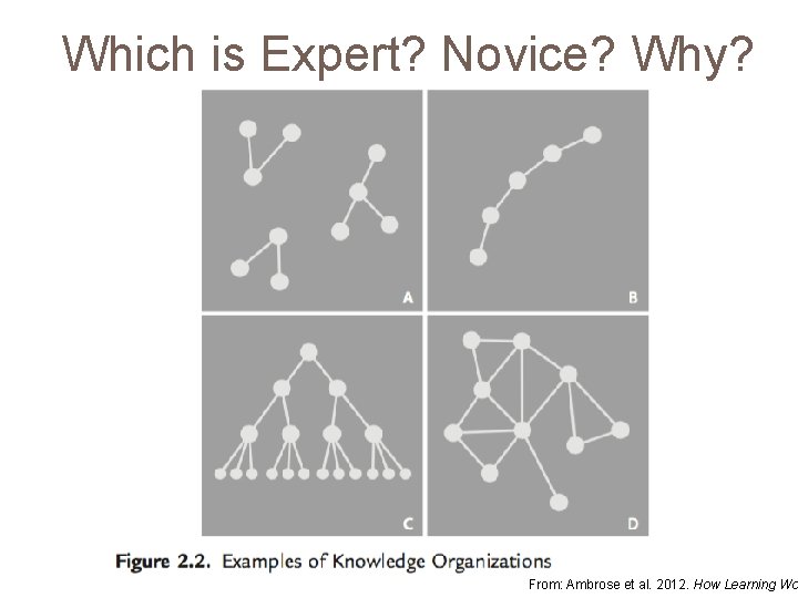 Which is Expert? Novice? Why? From: Ambrose et al. 2012. How Learning Wo 