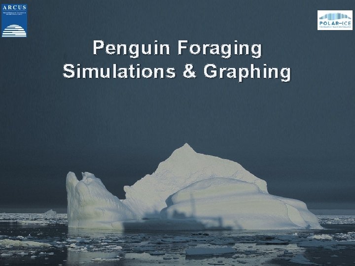 Penguin Foraging Simulations & Graphing 