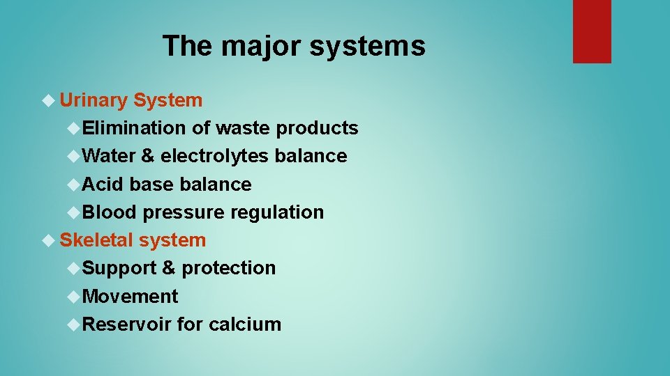 The major systems Urinary System Elimination of waste products Water & electrolytes balance Acid The major systems Urinary System Elimination of waste products Water & electrolytes balance Acid