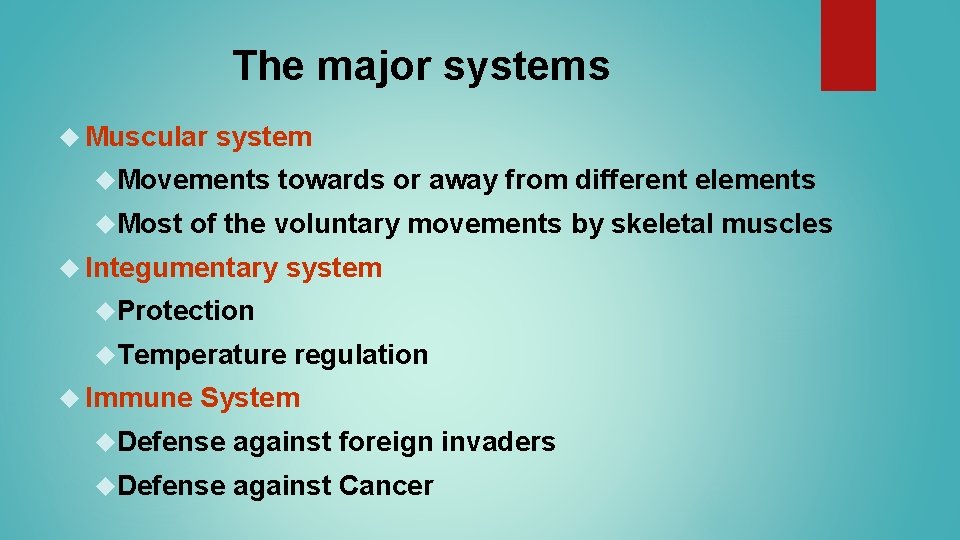 The major systems Muscular system Movements Most towards or away from different elements of The major systems Muscular system Movements Most towards or away from different elements of