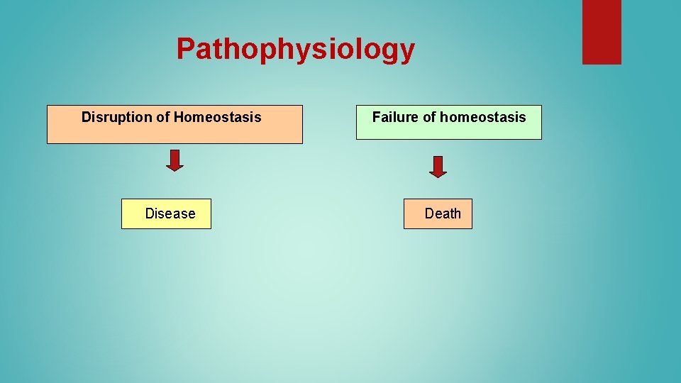 Pathophysiology Disruption of Homeostasis Disease Failure of homeostasis Death Pathophysiology Disruption of Homeostasis Disease Failure of homeostasis Death