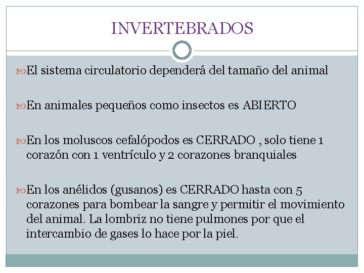 INVERTEBRADOS El sistema circulatorio dependerá del tamaño del animal En animales pequeños como insectos