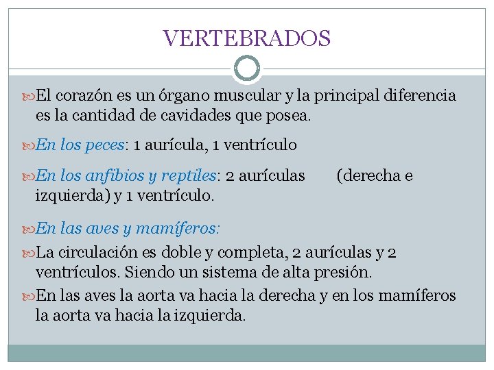 VERTEBRADOS El corazón es un órgano muscular y la principal diferencia es la cantidad