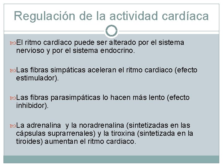 Regulación de la actividad cardíaca El ritmo cardíaco puede ser alterado por el sistema