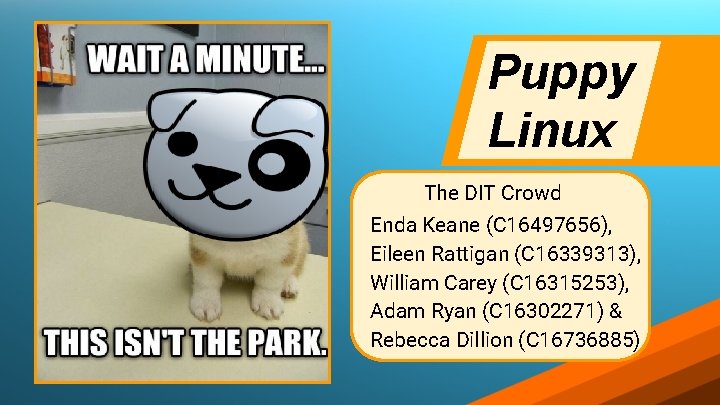 Puppy Linux The DIT Crowd Enda Keane (C 16497656), Eileen Rattigan (C 16339313), William Puppy Linux The DIT Crowd Enda Keane (C 16497656), Eileen Rattigan (C 16339313), William