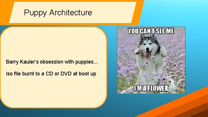Puppy Architecture Barry Kauler’s obsession with puppies. . . iso file burnt to a Puppy Architecture Barry Kauler’s obsession with puppies. . . iso file burnt to a