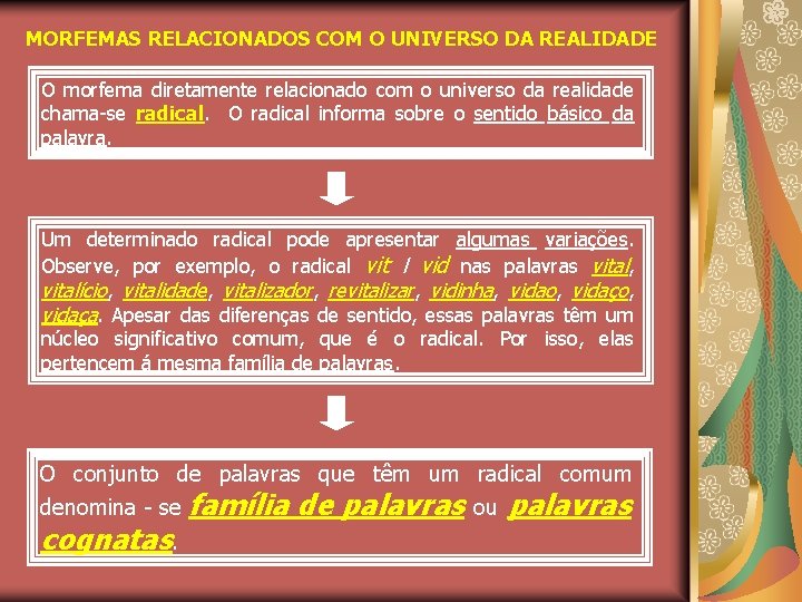 MORFEMAS RELACIONADOS COM O UNIVERSO DA REALIDADE O morfema diretamente relacionado com o universo