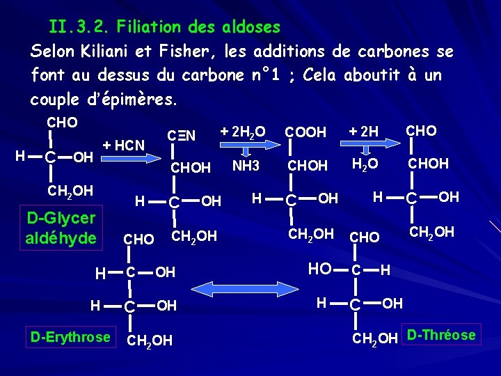 II. 3. 2. Filiation des aldoses Selon Kiliani et Fisher, les additions de carbones