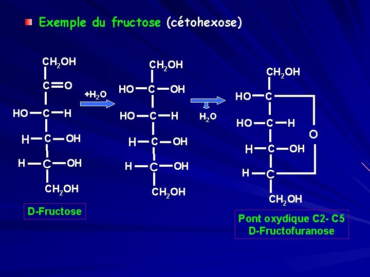 Exemple du fructose (cétohexose) CH 2 OH C O HO C H CH 2
