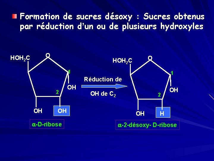Formation de sucres désoxy : Sucres obtenus par réduction d’un ou de plusieurs hydroxyles