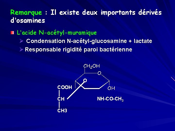 Remarque : Il existe deux importants dérivés d’osamines L’acide N-acétyl-muramique Ø Condensation N-acétyl-glucosamine +