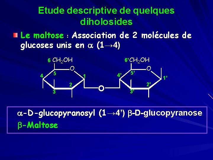 Etude descriptive de quelques diholosides Le maltose : Association de 2 molécules de glucoses