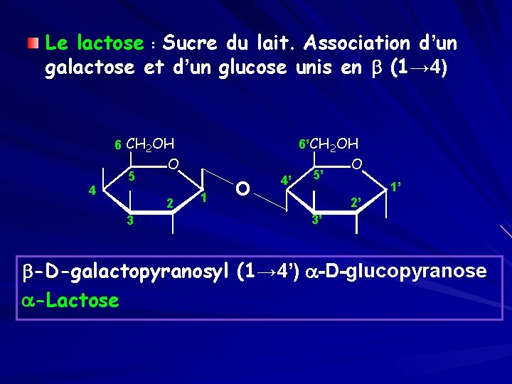 Le lactose : Sucre du lait. Association d’un galactose et d’un glucose unis en