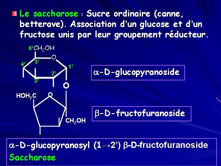 Le saccharose : Sucre ordinaire (canne, betterave). Association d’un glucose et d’un fructose unis
