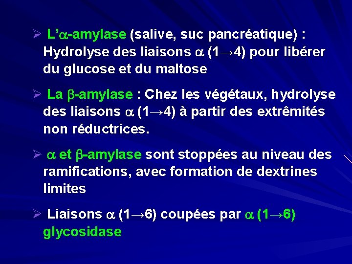Ø L’a-amylase (salive, suc pancréatique) : Hydrolyse des liaisons a (1→ 4) pour libérer