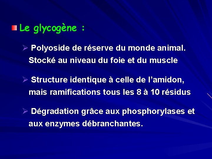 Le glycogène : Ø Polyoside de réserve du monde animal. Stocké au niveau du