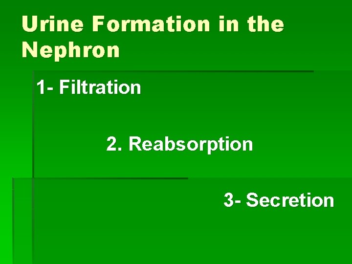 Urine Formation in the Nephron 1 - Filtration 2. Reabsorption 3 - Secretion 