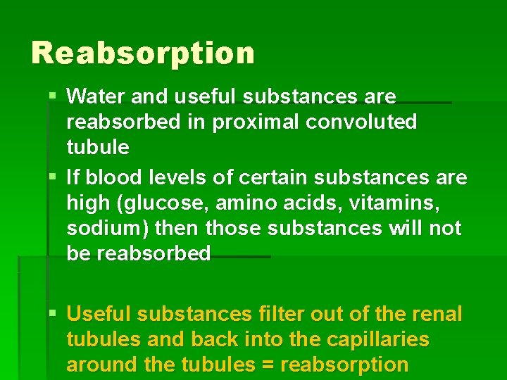 Reabsorption § Water and useful substances are reabsorbed in proximal convoluted tubule § If