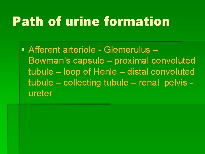 Path of urine formation § Afferent arteriole - Glomerulus – Bowman’s capsule – proximal