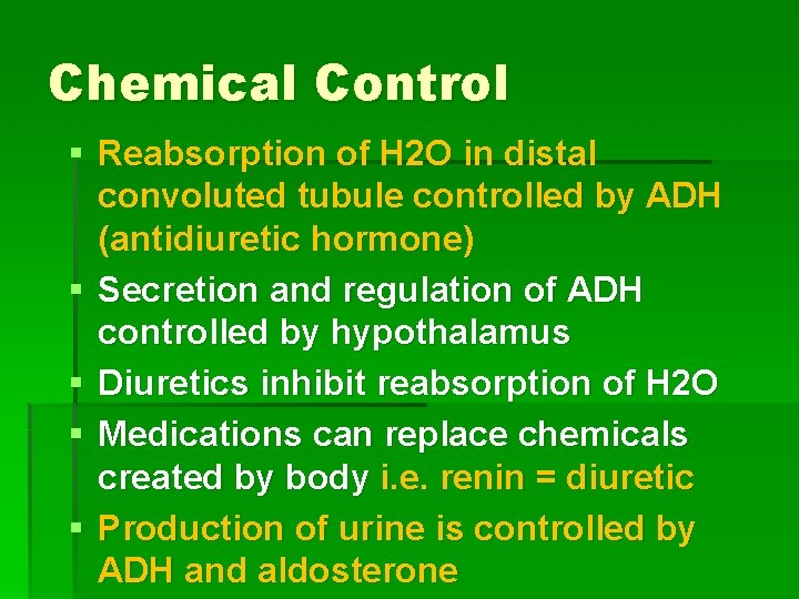 Chemical Control § Reabsorption of H 2 O in distal convoluted tubule controlled by