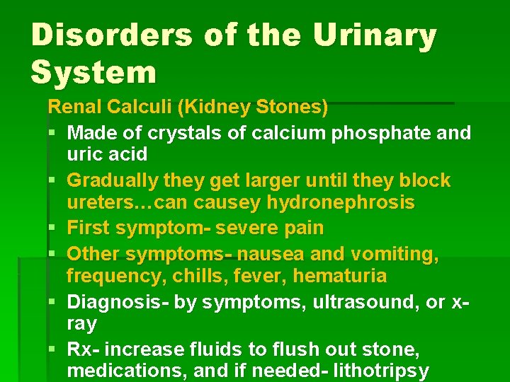 Disorders of the Urinary System Renal Calculi (Kidney Stones) § Made of crystals of