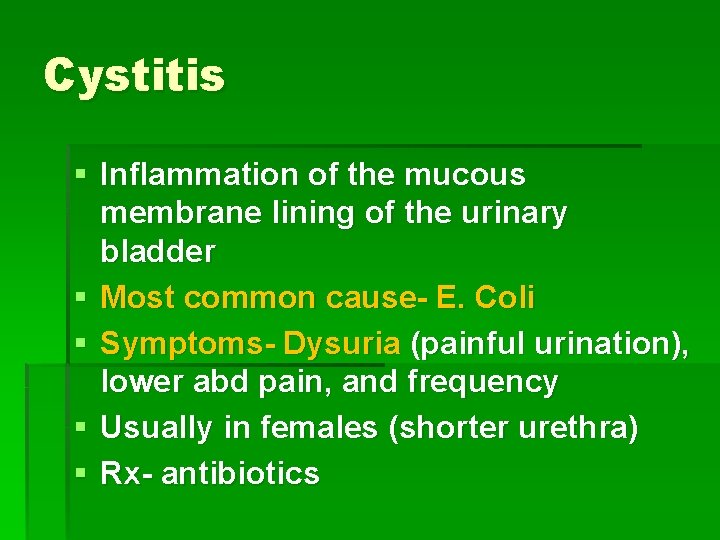 Cystitis § Inflammation of the mucous membrane lining of the urinary bladder § Most