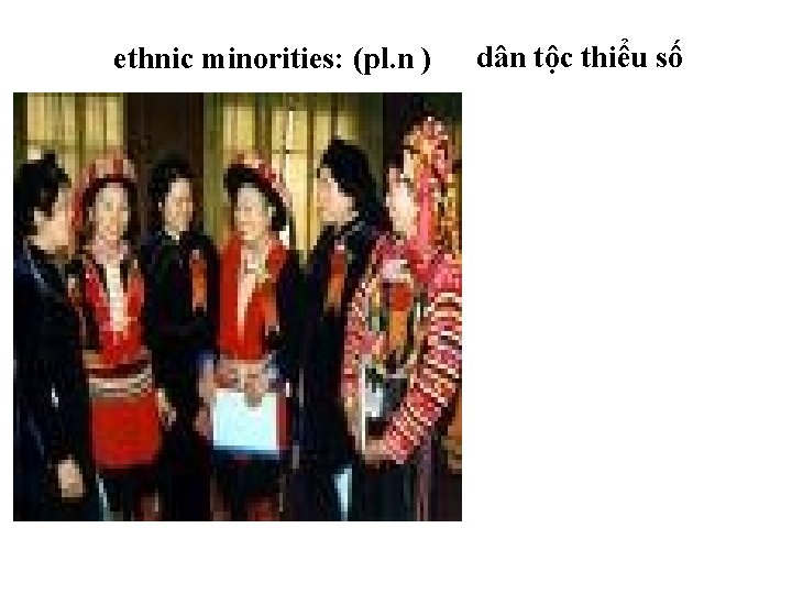 ethnic minorities: (pl. n ) dân tộc thiểu số 