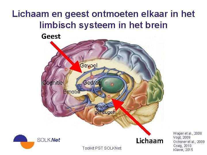 Lichaam en geest ontmoeten elkaar in het limbisch systeem in het brein Geest Lichaam