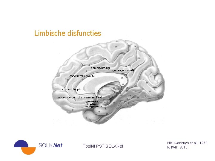 Limbische disfuncties spierspanning geheugenzwakte concentratiezwakte chronische pijn verdrongen emotie vermoeidheid hyperventilatie buikklachten hartkloppingen Toolkit