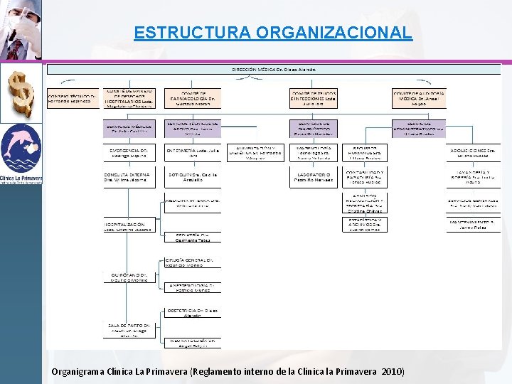 ESTRUCTURA ORGANIZACIONAL Organigrama Clínica La Primavera (Reglamento interno de la Clínica la Primavera 2010)