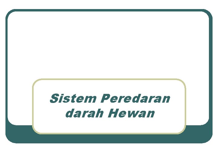 Sistem Peredaran darah Hewan 