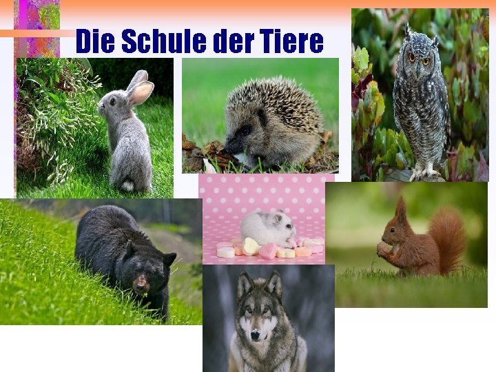 Die Schule der Tiere 