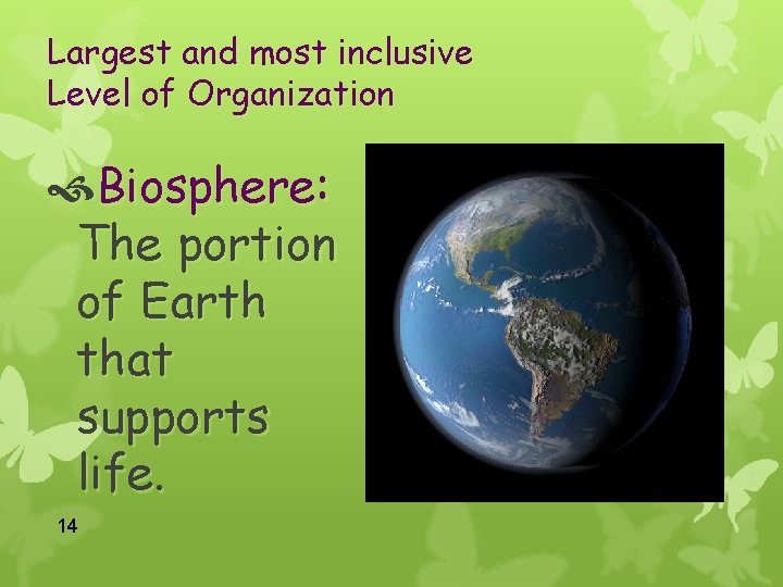 Largest and most inclusive Level of Organization Biosphere: The portion of Earth that supports