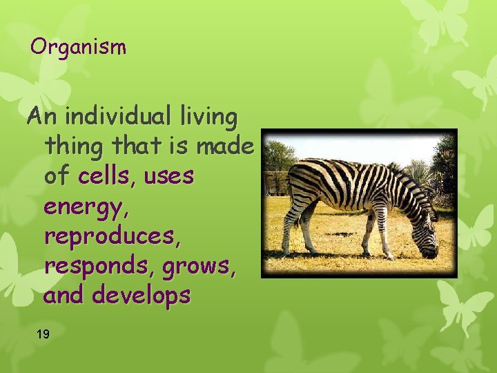 Organism An individual living that is made of cells, uses energy, reproduces, responds, grows,