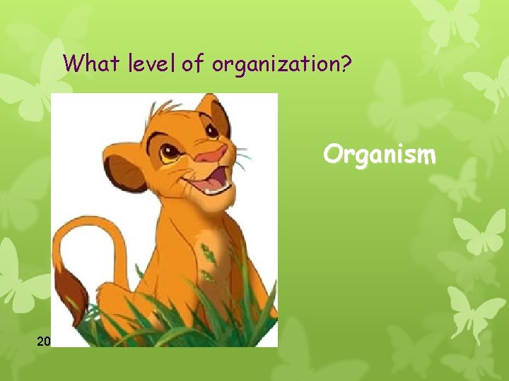 What level of organization? Organism 20 