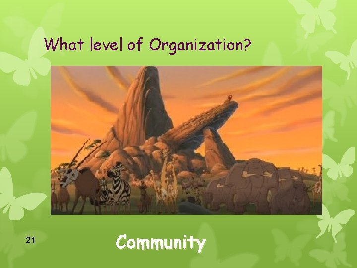 What level of Organization? 21 Community 