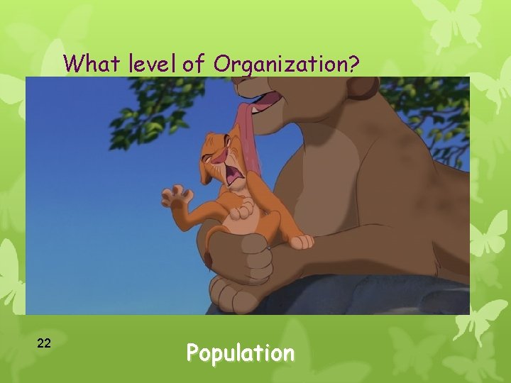 What level of Organization? 22 Population 