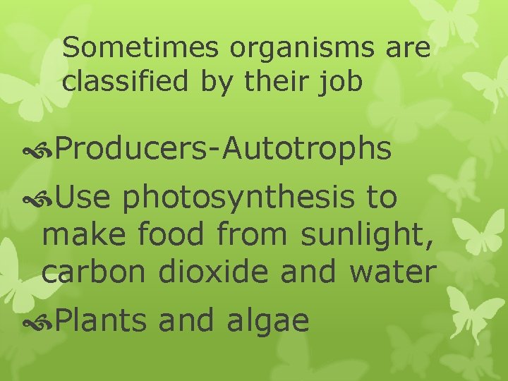 Sometimes organisms are classified by their job Producers-Autotrophs Use photosynthesis to make food from