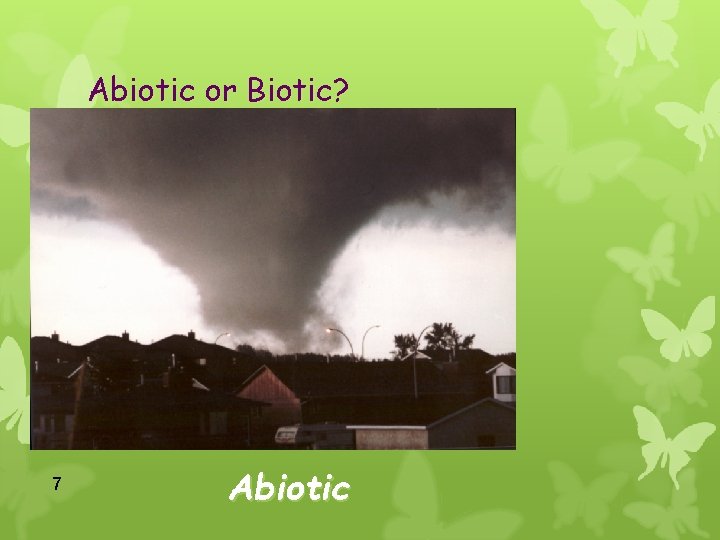 Abiotic or Biotic? 7 Abiotic 