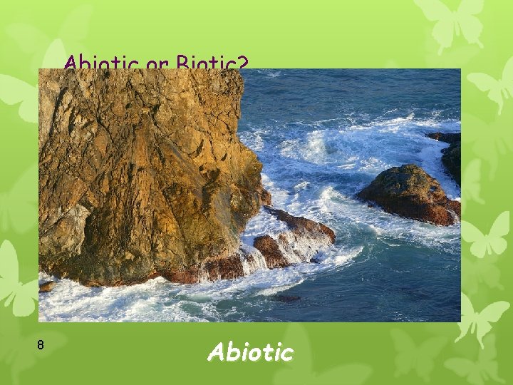 Abiotic or Biotic? 8 Abiotic 