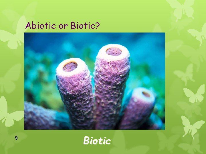 Abiotic or Biotic? 9 Biotic 